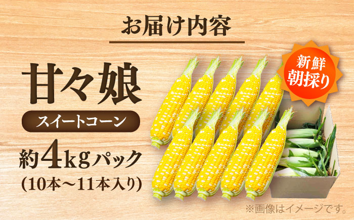 【先行予約】【2026年6月上旬より順次発送】スイートコーン(甘々娘) 約4kg（10〜11本）【なかむら農園】 [BHCJ001]