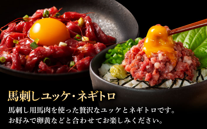 【全6回定期便】ふじ馬刺し 贅沢詰合せ 3996 / 食べ比べ うま ばにく 冷凍 馬肉 赤身 熊本県 菊陽 九州 新鮮 お祝い 家族 親戚 集まり おもてなし 名物【株式会社フジチク】 [BHAD134]
