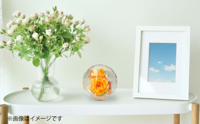 プリザーブドフラワー　ガラスドーム (オレンジ) / 花 プレゼント 贈答用 ガラス 母の日 父の日 入学式 卒業式 菊陽町 熊本県【株式会社 美向】 [BHDC001]