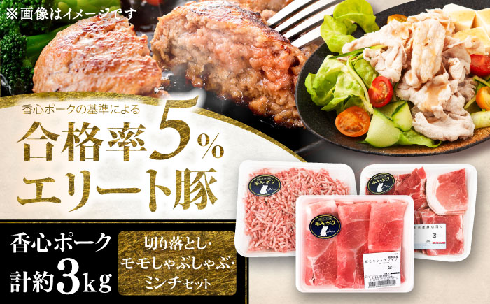 【香心ポーク】切り落とし、ミンチ、モモしゃぶセット(計約3kg)【有限会社コーシン】 [BHAH002]