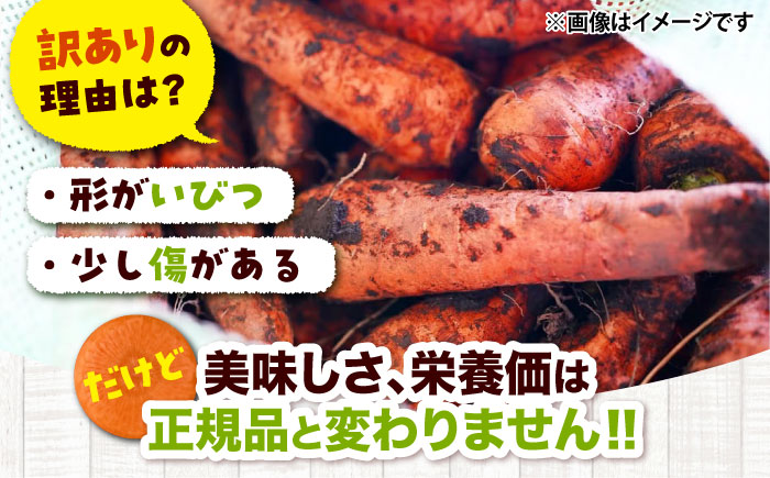 【先行予約】【4月中旬より順次発送】春にんじん10kg(訳あり) / にんじん ニンジン 規格外 ジュース 野菜 β-カロテン 食物繊維 抗酸化作用 栄養満点 熊本県産 菊陽町【株式会社 まゆみ農園】 [BHCW002]