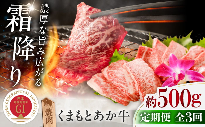 【全3回定期便】GI認証 くまもとあか牛 焼肉 約500g 計約1.5kg / 霜降り 高品質 あか牛 牛肉 熊本県 菊陽町【菊陽町(阿蘇牧場)】 [BHAZ026]