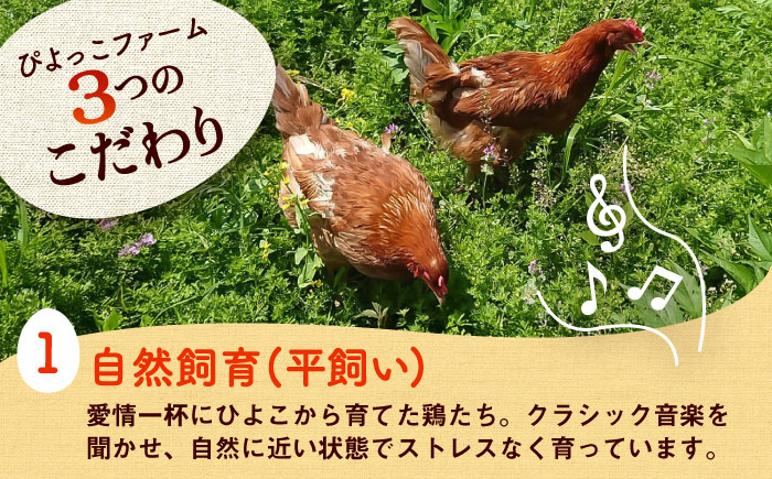 平飼い新鮮たまご 元気玉 計40個(10個×4パック) / 卵 ぷりぷり 新鮮 玉子 オムレツ たまごかけごはん 朝食 鶏卵 タンパク質 平飼い 濃厚 こく 熊本県 菊陽町【ぴよっこファーム】 [BHAP002]