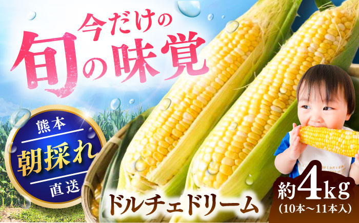 【先行予約】【2026年5月下旬より順次発送】スイートコーン(ドルチェドリーム)約4kg【なかむら農園】 [BHCJ002]