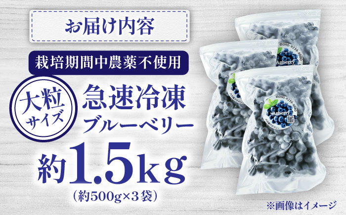 【大粒】国産 急速冷凍ブルーベリー 計約1.5kg（約500g×3袋） 大粒 果物 くだもの フルーツ ぶるーべりー 熊本県 菊陽町【アグファーム株式会社】 [BHCX003]
