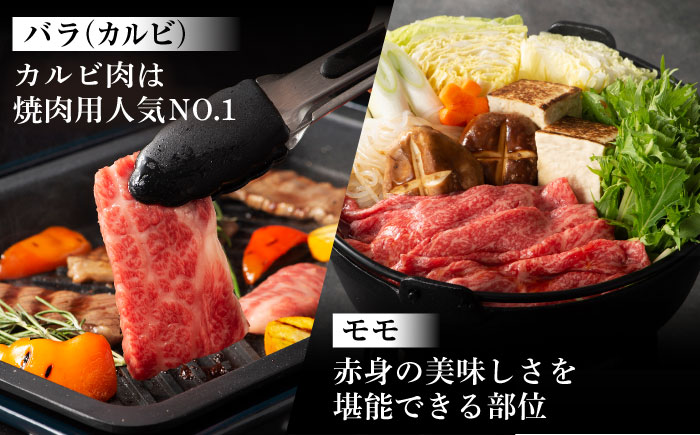 【全6回定期便】「熊本特産馬刺しとくまもと黒毛和牛」フジチクオリジナル贅沢食べ比べセット 3905【株式会社フジチク】 [BHAD052]