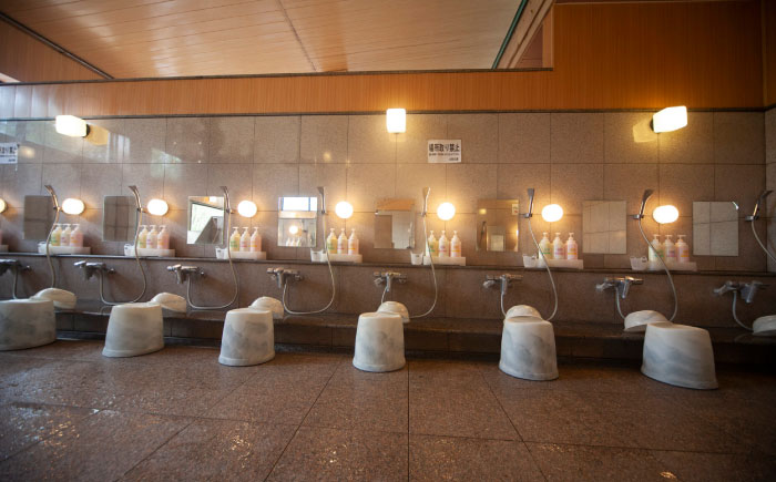 温泉入浴券 大谷の湯 日帰り温泉 入浴券 12枚【社会福祉法人青生会】 [BHCM002]