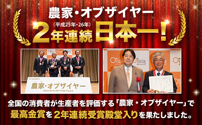 【先行予約】【4月中旬より順次発送】春にんじん10kg(訳あり) / にんじん ニンジン 規格外 ジュース 野菜 β-カロテン 食物繊維 抗酸化作用 栄養満点 熊本県産 菊陽町【株式会社 まゆみ農園】 [BHCW002]