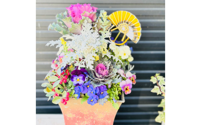 新年を華やかに彩る お正月の寄せ植え(おまかせ) / 正月飾り 花苗 鉢 ピック【GreenlifeYoshimura】 [BHBG001]