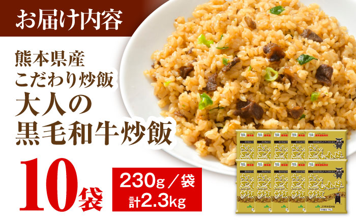 熊本県産 こだわり炒飯 大人の黒毛和牛炒飯 計2.3kg (230g×10) 【ユーユーフーズ株式会社】[BHCS003]