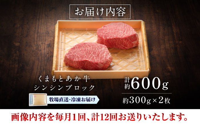 【全12回定期便】【GI認証】くまもとあか牛シンシンブロック 約300g×2枚 / 菊陽町 あかうし 熊本県 肉 にく niku ブランド 旨み 【有限会社 三協畜産】 [BHAS077]