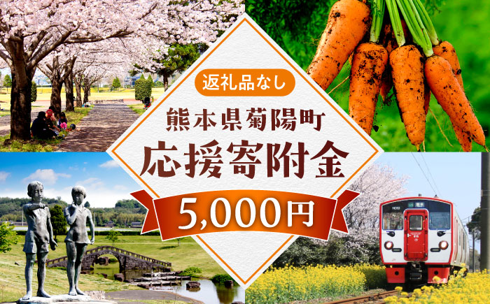 【応援寄附金】熊本県菊陽町 1口 5,000円 返礼品なしのご寄附　【菊陽町】 [BHZZ002]
