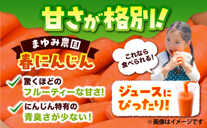 【先行予約】【4月中旬より順次発送】春にんじん10kg(訳あり) / にんじん ニンジン 規格外 ジュース 野菜 β-カロテン 食物繊維 抗酸化作用 栄養満点 熊本県産 菊陽町【株式会社 まゆみ農園】 [BHCW002]