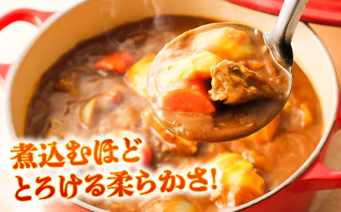 【全3回定期便】馬スジ 約1kg (約500g×2パック) / 馬肉 スジ 馬すじ 煮込み 煮物 カレー お肉 スジ肉 スジ すじ肉 料理用 馬 肉 熊本 すじ【五右衛門フーズ】 [BHCY042]