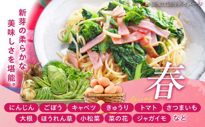 【全6回定期便】【新鮮たまごと旬の野菜セット(野菜7~8品程度＋40個) / たまご 生卵 タマゴ 詰合せ セット 熊本県 特産品【有限会社さんふれあ】 [BHAK010]