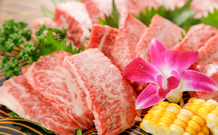 【全6回定期便】GI認証 くまもとあか牛 焼肉 約500g 計約3kg / 霜降り 高品質 あか牛 牛肉 熊本県 菊陽町【菊陽町(阿蘇牧場)】 [BHAZ027]