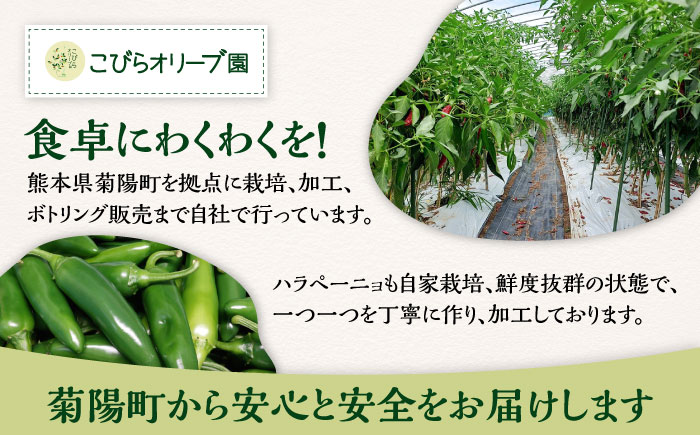 【先行予約】【2026年6月下旬順次発送開始】ハラペーニョの一味セット / ハラペーニョ 青唐辛子 完熟 唐辛子 一味唐辛子 調味料 2種 セット　熊本県 菊陽町【こびらオリーブ園】 [BHBL006]