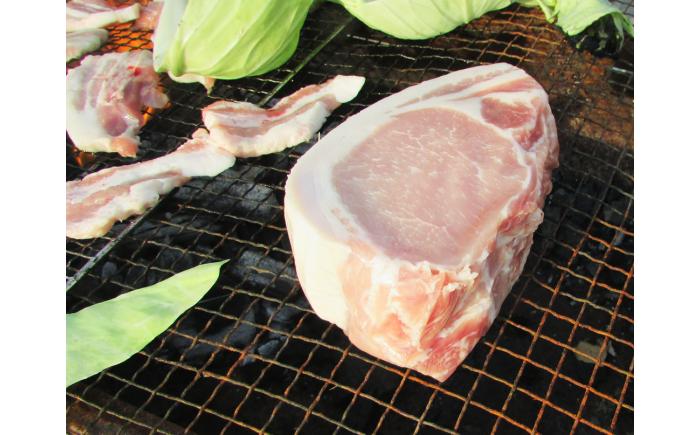 【香心ポーク】ブロック3種セット(計約1.5kg)【有限会社コーシン】 [BHAH003]