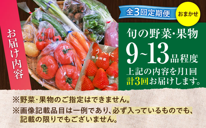 【全3回定期便】菊陽町特産品 「野菜・果物などの詰め合わせ」　 / 新鮮 詰合せ フルーツ セット 旬 おまかせ にんじん 直売所 やさい くだもの 熊本県 特産品 菊陽町【有限会社さんふれあ】 [BHAK007]