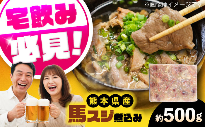 純国産馬 馬スジ煮込み 約500g / 馬肉 馬すじ 馬スジ 煮込み 熊本県 菊陽町【株式会社古閑ファーム】 [BHDF020]