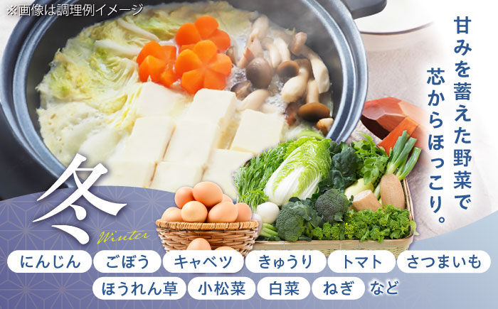 【全6回定期便】【新鮮たまごと旬の野菜セット(野菜7~8品程度＋40個) / たまご 生卵 タマゴ 詰合せ セット 熊本県 特産品【有限会社さんふれあ】 [BHAK010]