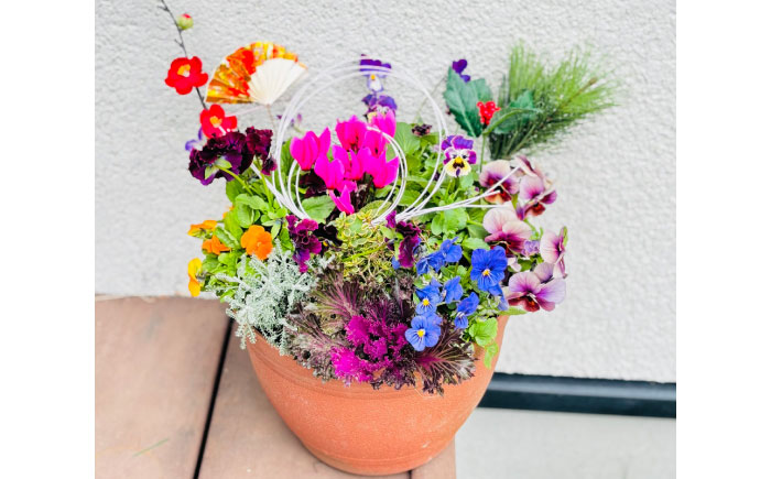 新年を華やかに彩る お正月の寄せ植え(おまかせ) / 正月飾り 花苗 鉢 ピック【GreenlifeYoshimura】 [BHBG001]