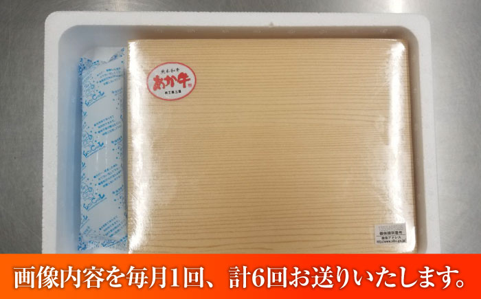 【全6回定期便】【GI認証】くまもとあか牛サーロインステーキ 約200g×3枚 / 菊陽町 あかうし 熊本県 肉 にく niku ブランド 旨み【有限会社 三協畜産】 [BHAS067]