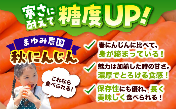 【先行予約】【2026年12月順次発送開始】秋にんじん10kg / にんじん ニンジン 野菜 β-カロテン 食物繊維 抗酸化作用 栄養満点 熊本県産 菊陽町　【株式会社 まゆみ農園】 [BHCW006]