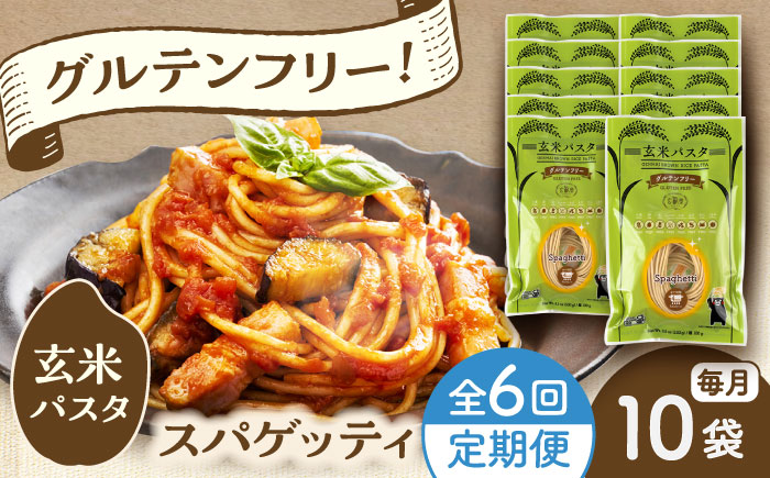 【全6回定期便】玄米パスタ スパゲッティ10袋セット / 玄米 パスタ 特産品 熊本【株式会社熊本玄米研究所】 [BHAF017]