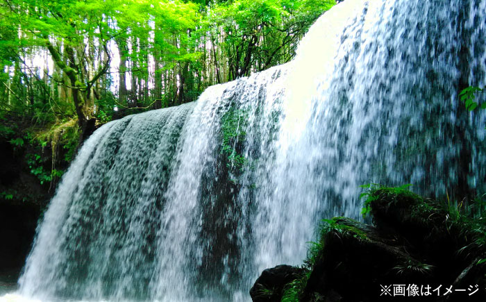 【全3回定期便】い・ろ・は・す(いろはす)阿蘇の天然水 2Lペットボトル×6本(1ケース) / ミネラルウォーター 軟水 飲料水 天然水 非常用【コカ・コーラボトラーズジャパン株式会社】 [BHAO006]