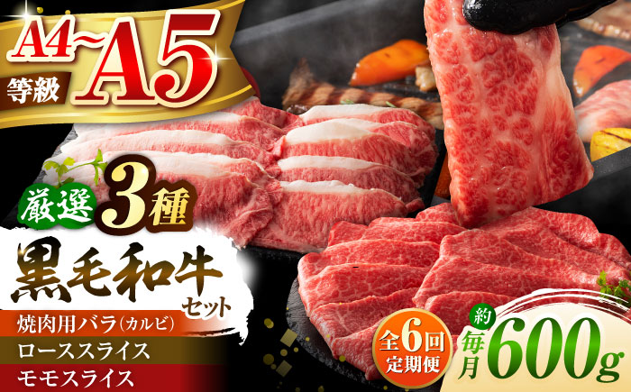 【全6回定期便】くまもと黒毛和牛「藤彩牛」厳選3種の食べ比べ計600g 3901【株式会社フジチク】 [BHAD040]