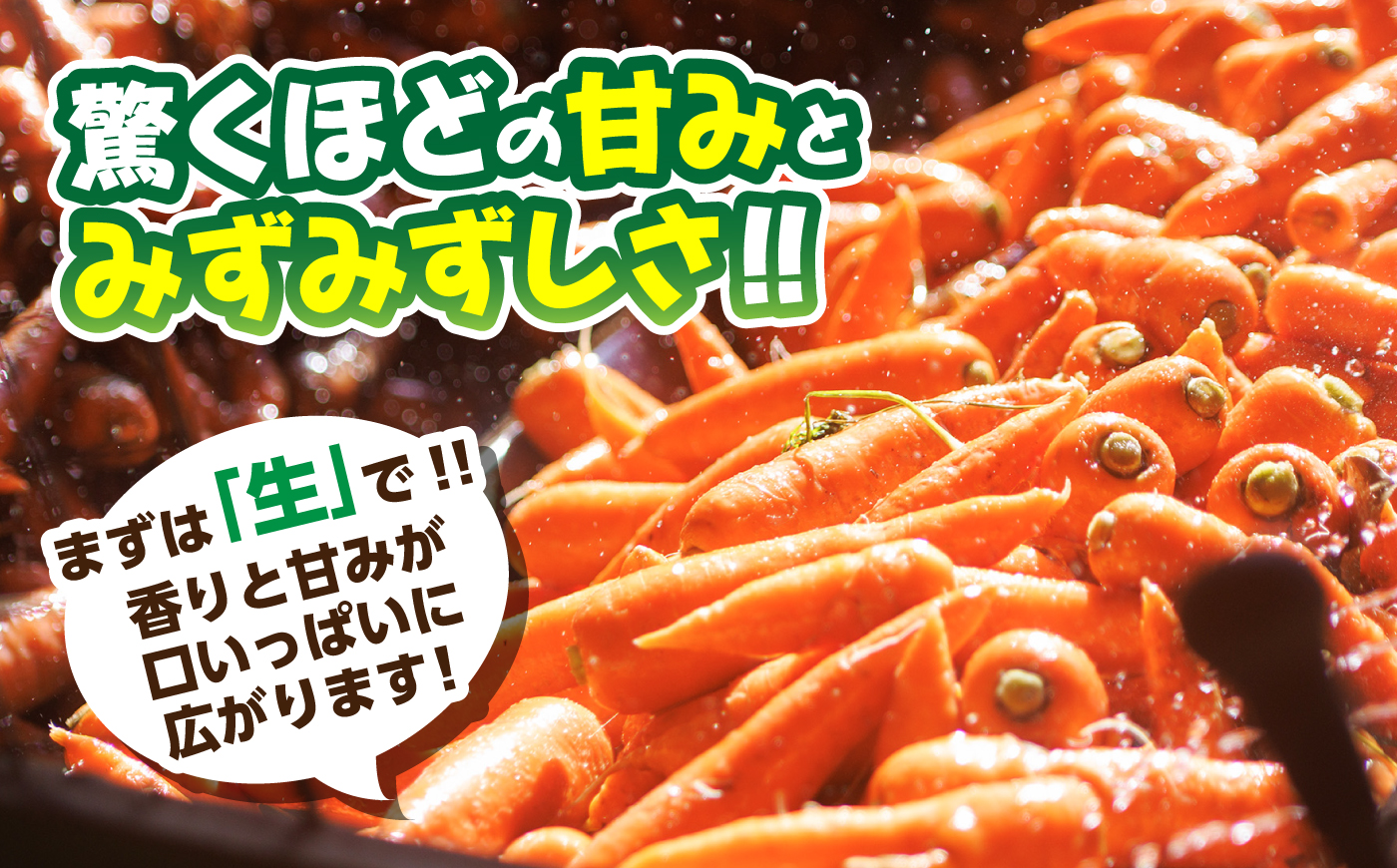 【訳あり】菊陽春にんじん 10kg (訳あり) / にんじん アロマレッド 翔彩 菊陽にんじん 西洋にんじん ニンジン 人参 野菜 熊本 菊陽 わけあり 【マツモト：ファーム】 [BHDH006]