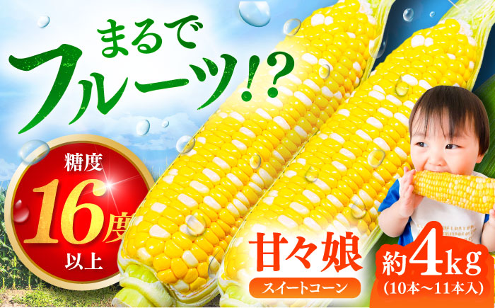 【先行予約】【2026年6月上旬より順次発送】スイートコーン(甘々娘) 約4kg（10〜11本）【なかむら農園】 [BHCJ001]