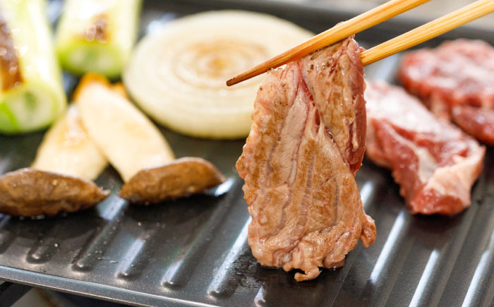 馬肉焼肉用500gカット済 / 馬刺し 菊陽町 熊本県 醤油 専用 ばさし 馬肉 肉 niku おつまみ 九州 冷凍【有限会社 桜屋】 [BHDB008]