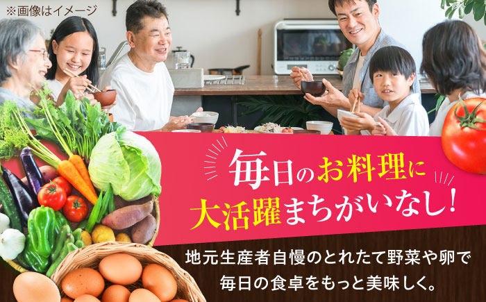 新鮮 卵 と 旬の 野菜 セット (野菜7-8品程度＋40個)  ／  たまご 生卵 タマゴ 詰合せ セット 熊本県 特産品 【有限会社さんふれあ】 [BHAK002]