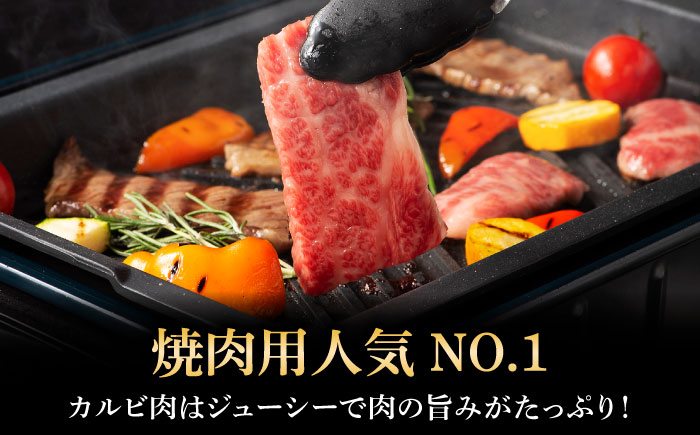 くまもと黒毛和牛「藤彩牛」バラ(カルビ)焼き肉用 約400g 【株式会社フジチク】 [BHAD121]