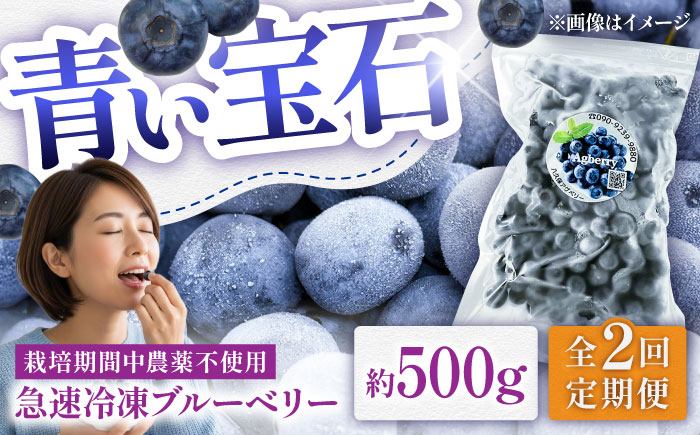 【全2回定期便】青い宝石 国産 急速冷凍ブルーベリー 約500g 果物 くだもの フルーツ ぶるーべりー 熊本県 菊陽町【アグファーム株式会社】 [BHCX007]