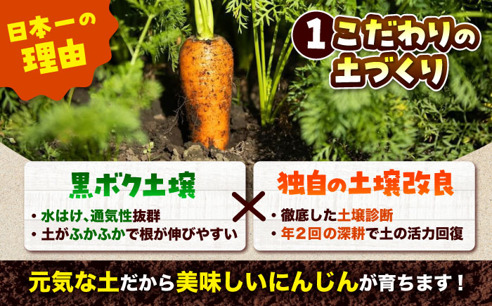 春にんじん10kg / にんじん ニンジン 野菜 β-カロテン 食物繊維 抗酸化作用 栄養満点 熊本県産 菊陽町 【株式会社 まゆみ農園】 [BHCW001]
