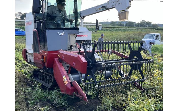 きくちのえごま油 計270g(45g×6本) / 調味料 えごま えごま油 熊本県 サラダ スープ ドレッシング 納豆 卵かけごはん 冷奴 味噌汁 ヨーグルト 生 菊陽町【菊池えごま生産組合】 [BHAT003]