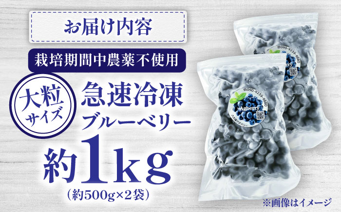 【大粒】国産 急速冷凍ブルーベリー 計約1kg（約500g×2袋） 大粒 果物 くだもの フルーツ ぶるーべりー 熊本県 菊陽町【アグファーム株式会社】 [BHCX002]