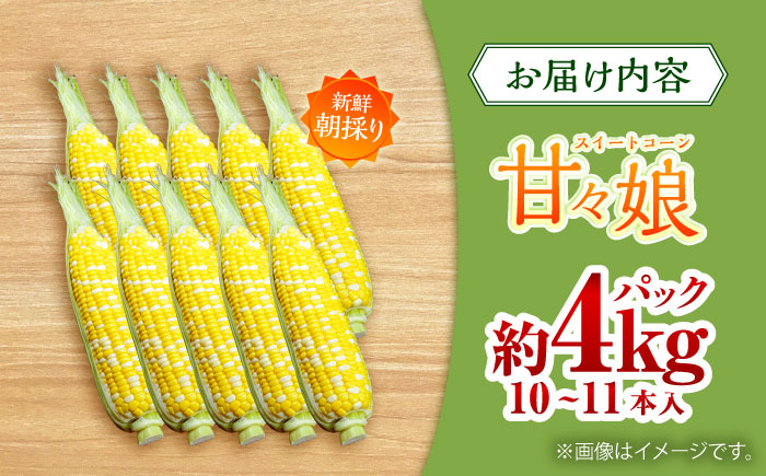 【先行予約】【2026年6月上旬より順次発送】スイートコーン(甘々娘) 約4kg（10〜11本）【なかむら農園】 [BHCJ001]
