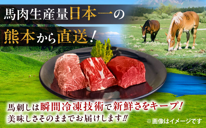 厳選上赤身馬刺し 約400g（醤油・生姜付） / 馬肉 上赤身 馬刺し ばさし 熊本県 特産品【有限会社菊陽食肉センター】 [BHAC004]