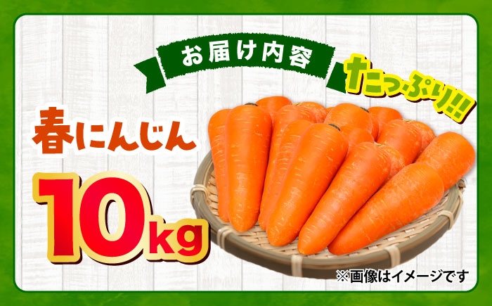 春にんじん10kg / にんじん ニンジン 野菜 β-カロテン 食物繊維 抗酸化作用 栄養満点 熊本県産 菊陽町 【株式会社 まゆみ農園】 [BHCW001]