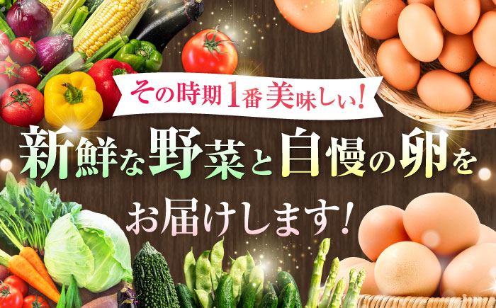 【全3回定期便】新鮮たまごと旬の野菜セット(野菜7~8品程度＋40個) / たまご 生卵 タマゴ 詰合せ セット 熊本県 特産品【有限会社さんふれあ】 [BHAK009]