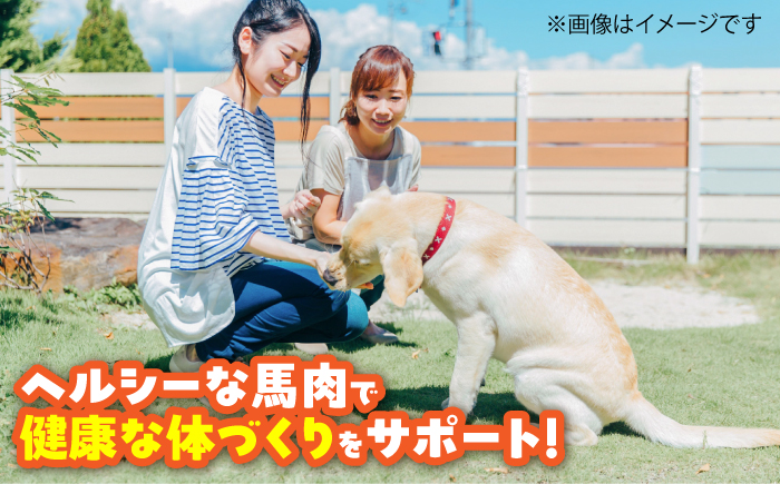 【全6回定期便】ペット用 馬刺しジャーキー 約100g(約50g×2) / ペットフード ドッグフード 愛犬 馬肉 ジャーキー おやつ ペットおやつ【五右衛門フーズ】 [BHCY063]