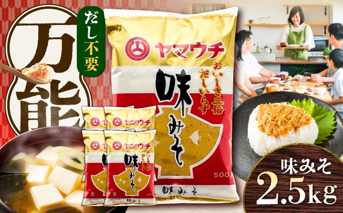 味みそ2.5kg(500g×5袋)【株式会社山内本店】 [BHAE044]