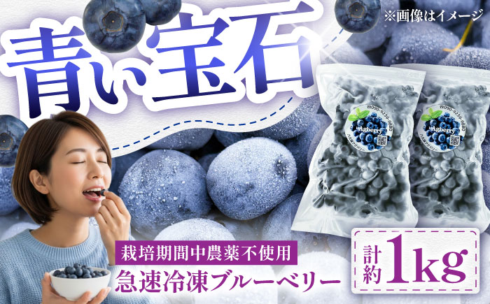 青い宝石 国産 急速冷凍ブルーベリー 計約1kg（約500g×2袋） 果物 くだもの フルーツ ぶるーべりー 熊本県 菊陽町【アグファーム株式会社】 [BHCX005]