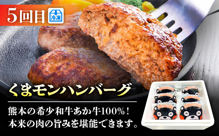 【菊陽町よりすぐり6回定期便】 菊陽町の人気の返礼品が毎月届く！ / 肉 馬刺し 馬肉 赤身 ハンバーグ 味噌 ラーメン [BHZZ008]