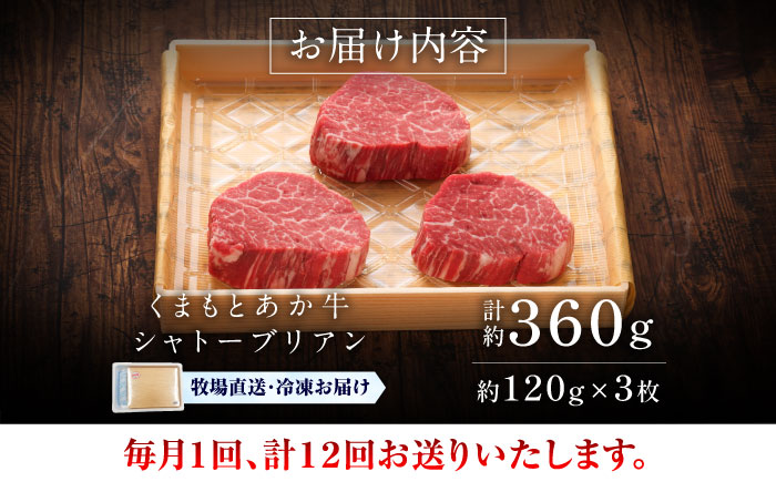 【全12回定期便】【GI認証】くまもとあか牛シャトーブリアン 約120g×3枚 / 菊陽町 あかうし 熊本県 肉 にく niku ブランド 旨み 【有限会社 三協畜産】 [BHAS074]