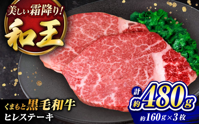 くまもと黒毛和牛 ｢和王｣ ヒレステーキ 計約480g (約160g×3枚) / 牛肉 和王 黒毛和牛 肉 ヒレ ひれ 希少部位 熊本県 菊陽町【菊池地域農業協同組合】 [BHBQ016]